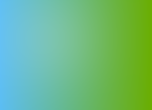 CDCS support planning services in Minnesota